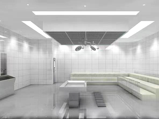 ���ʌ����