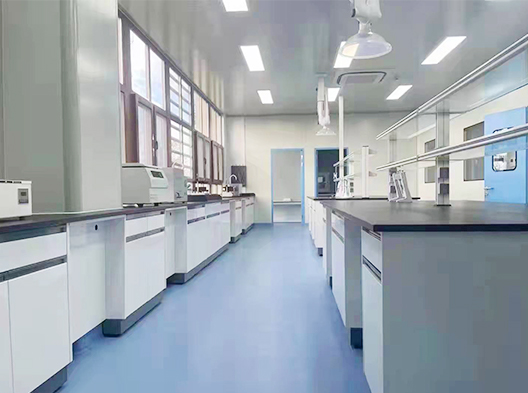 ���Ќ����