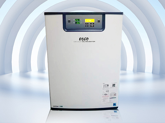 ������̼���B(y��ng)��